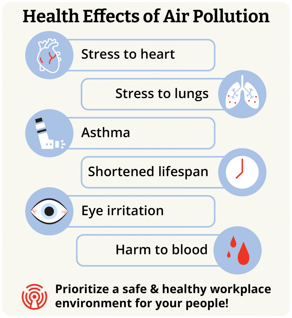 Air Pollution Infographic